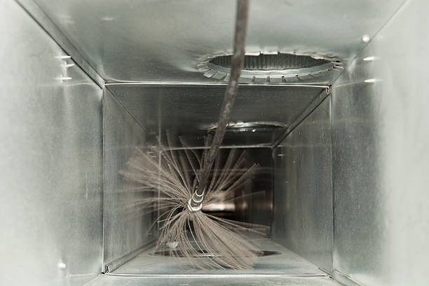 Best Local Air Duct Cleaning Services  in Crane, TX
