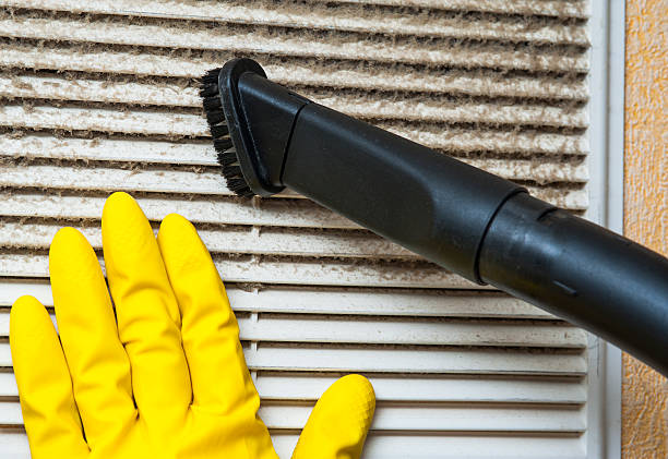 Best Air Vent Cleaning Services  in Crane, TX